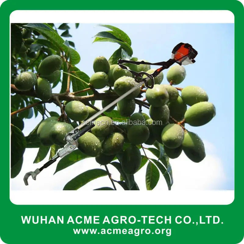Garden Tool Fruit Picker For Used Olive Picker