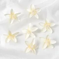 Milk White