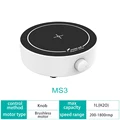 MS3