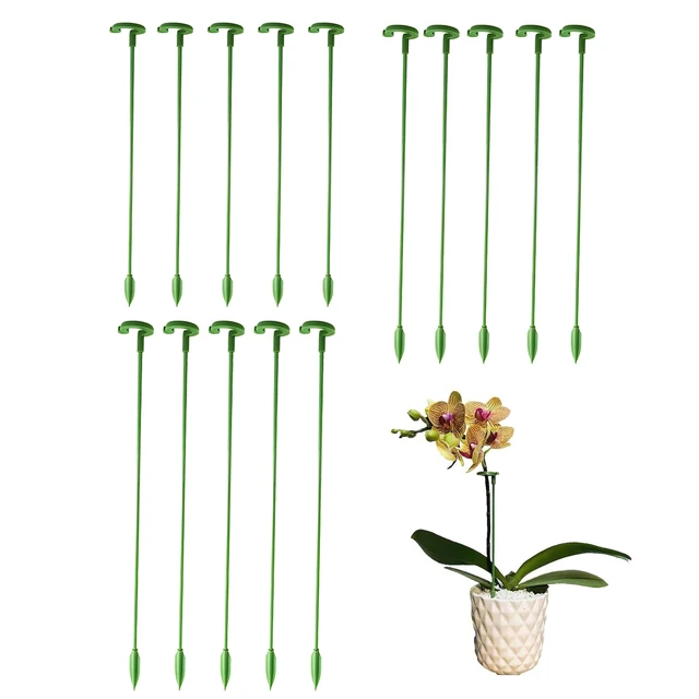 Support de plantes Pieux Jardin Unique Tige Fleur Piquet Amaryllis Plante  Cage Support En Plastique Fleur