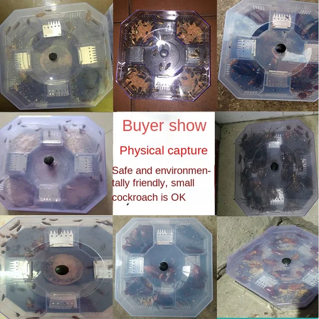 1Dc Nem Mérgező Csótány Csapdaba Kagyló Fogó Fizikai Elfogás Újrafelhasználható Biztonság Gyerekeknek És Háziállatoknak Környezetbarát Vezérlő Csali - Image 2