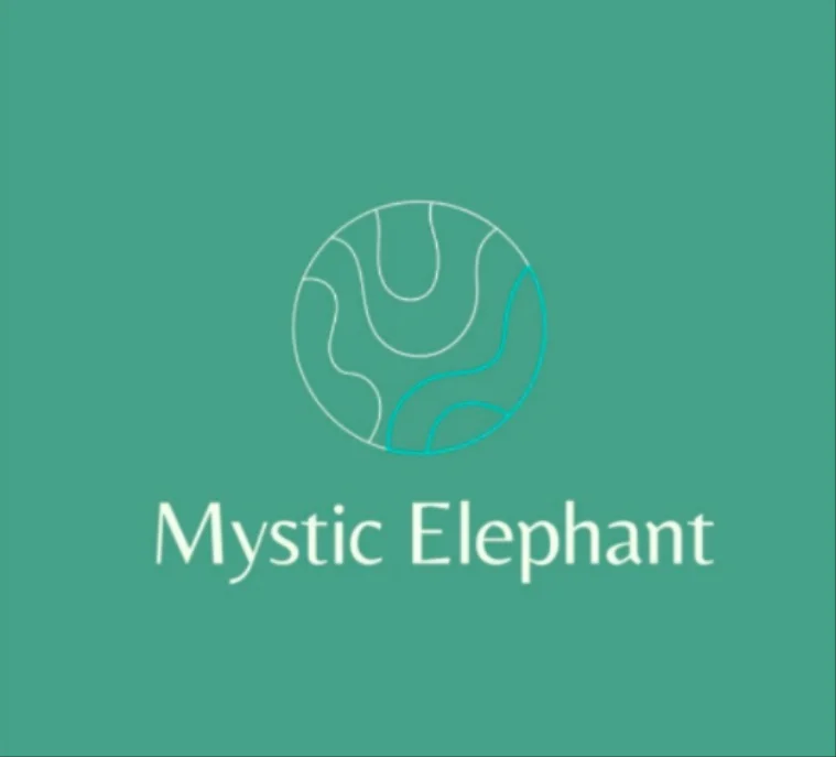 202312 оригинал, заказ для Shuashua