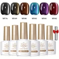 244886-6Pcs-10ml