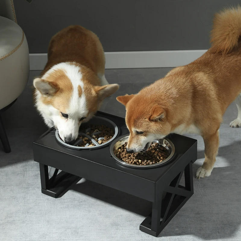 

Elevated Dog Bowls 3 Adjustable Heights Raised Dog Food Water Bowl with Slow Feeder Bowl Standing Dog Bowl for Medium Large Dogs