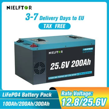 Batteria al litio LiFePO4 12V 24V 48V 100Ah 200Ah 300Ah Celle BMS integrate di grado A 6000+ ciclo PL Stock UE