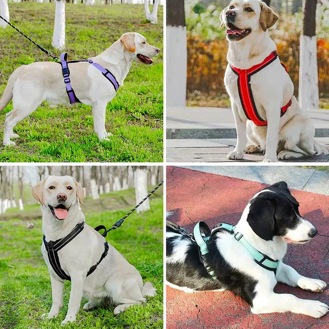 New Pet Dog Harness No-pull Dog Padded Vest Adjustable Reflective Chest Strap Safety Lead All Weathers For Small Medium Dogs 2