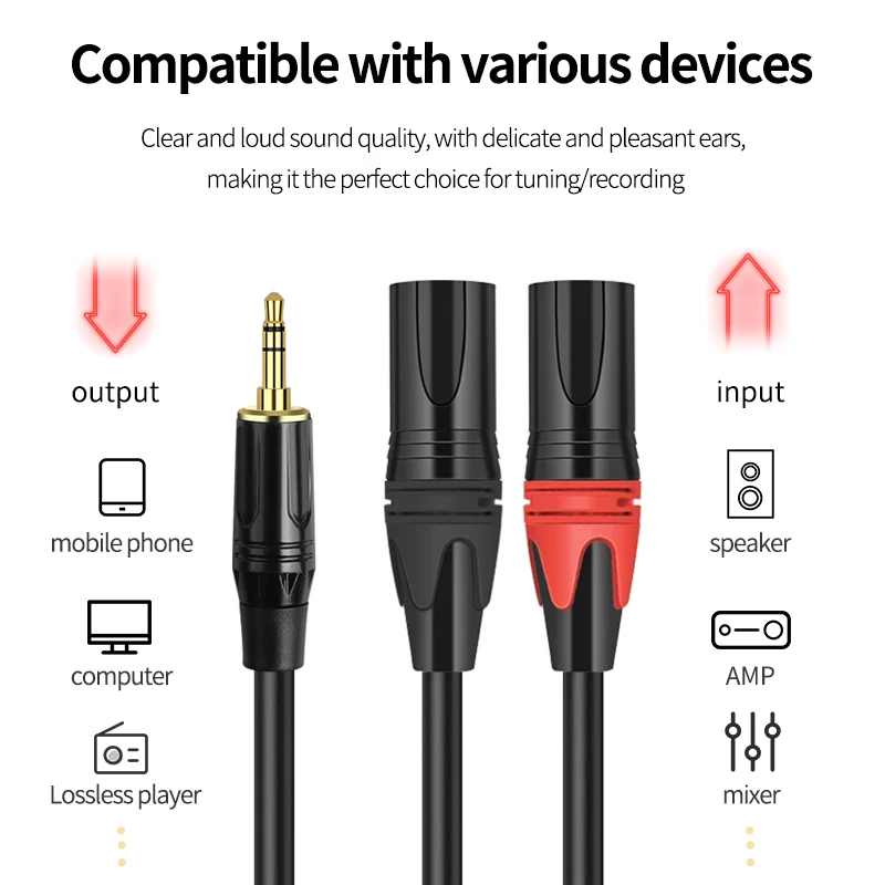 Premium AUX to Dual XLR Audio Cable - Balanced Sound Cord for Microphone, Speaker, and Amplifier