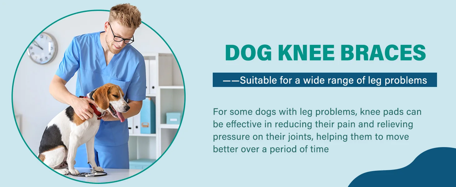 DOG KNEE BRACES
