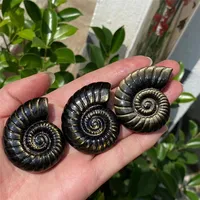 1pc Gold Obsidian Carving, Conch, Crystal Carving, Spiritual Symbol, Healing Crystal, Crystal Collection, Gift, Home Decor 1