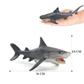 Tiger shark-1