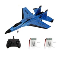Fixed Wing Remote Control Plane RC 2.4G 700M 25mins EPP Assembly Large Remote  Control Aircraft Model Fighter Model Kids Toys - AliExpress