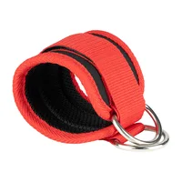 27346-85b6b5.jpg Padded Leg Training Straps