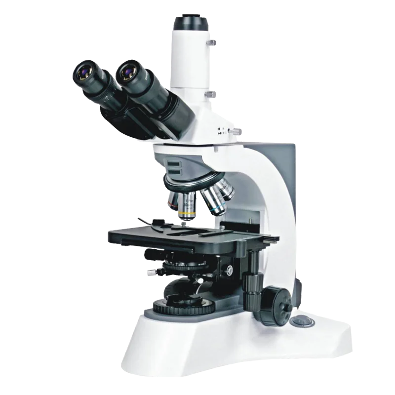 N-800M Laboratory Biological Microscope with Fluorescent Attachment