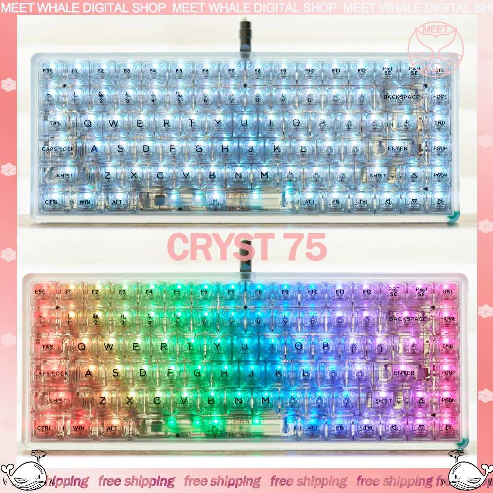 

IPI Cryst 75 Transparent Keyboards Gamer Wired Mechanical Keyboard Hot-Swap RGB Backlight Keyboard Customization Keyboards Gifts