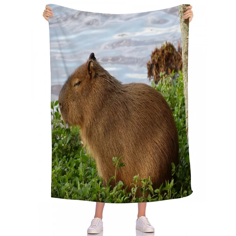 C-Capybara ������ ��ȣ Ȩ ��� ħ�뺸, ǫ���ϰ� �ε巯�� ���, �ܿ� ħ�� ���, ���� ������
