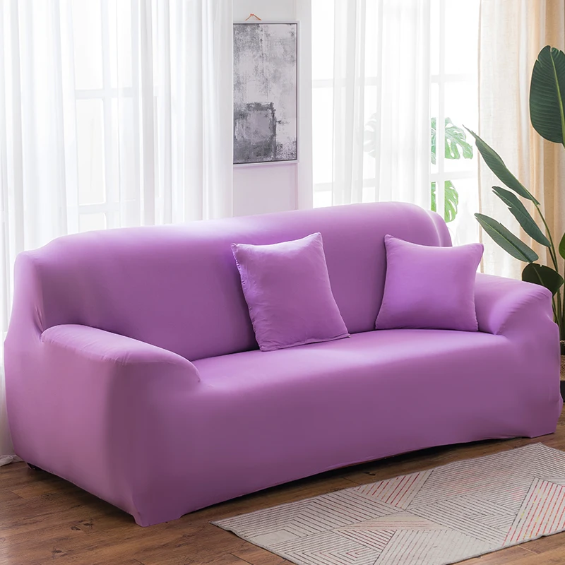 VIOLETTA/Viola