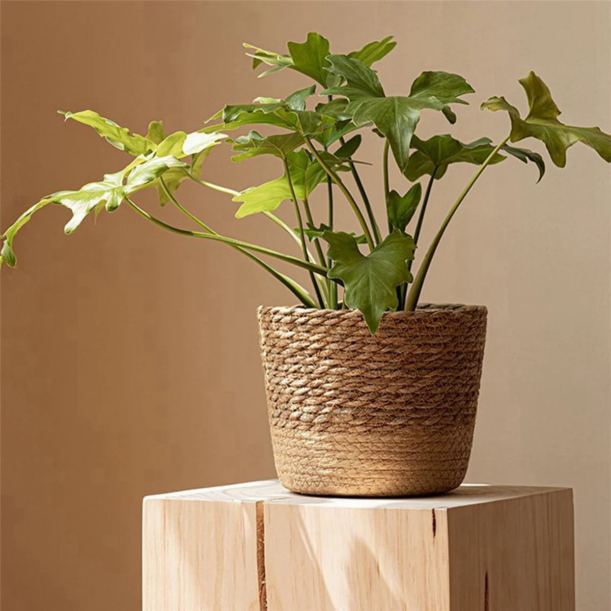 BAAU 2X Straw Weaving Flower Plant Pot Wicker Basket Rattan Flowerpot Storage Basket Handmade Woven Planter M