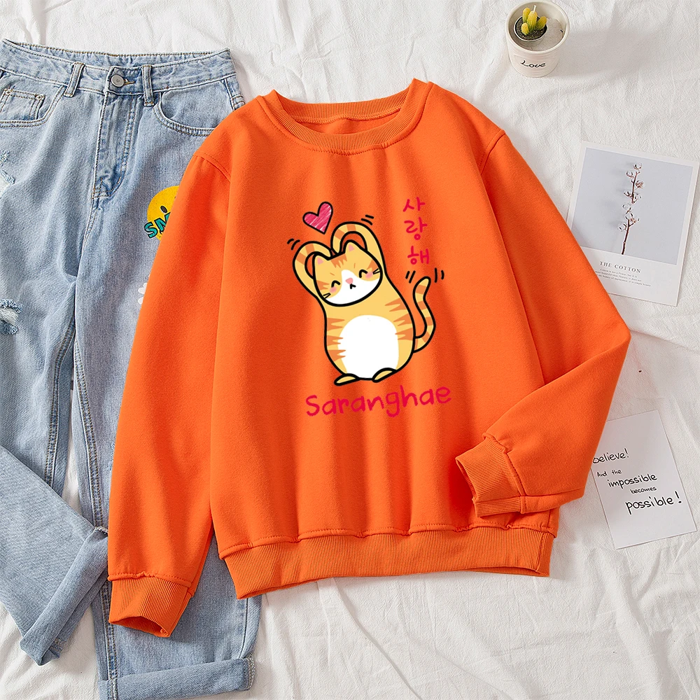 orange korean kawaii cat sweatshirt kitty sweatshir