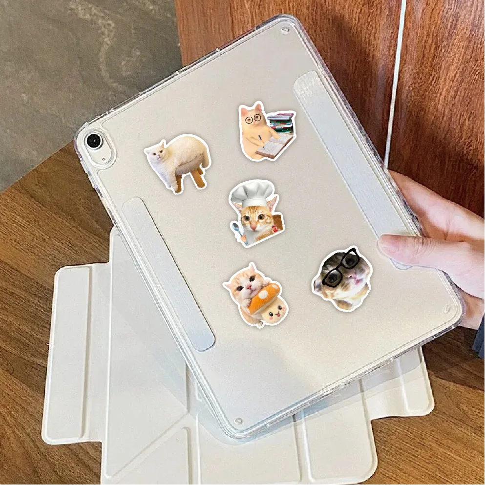 50개의 화난 고양이 스티커, 재미있는 고양이 표정 스티커, 어린이용 스티커, 문구용 스티커