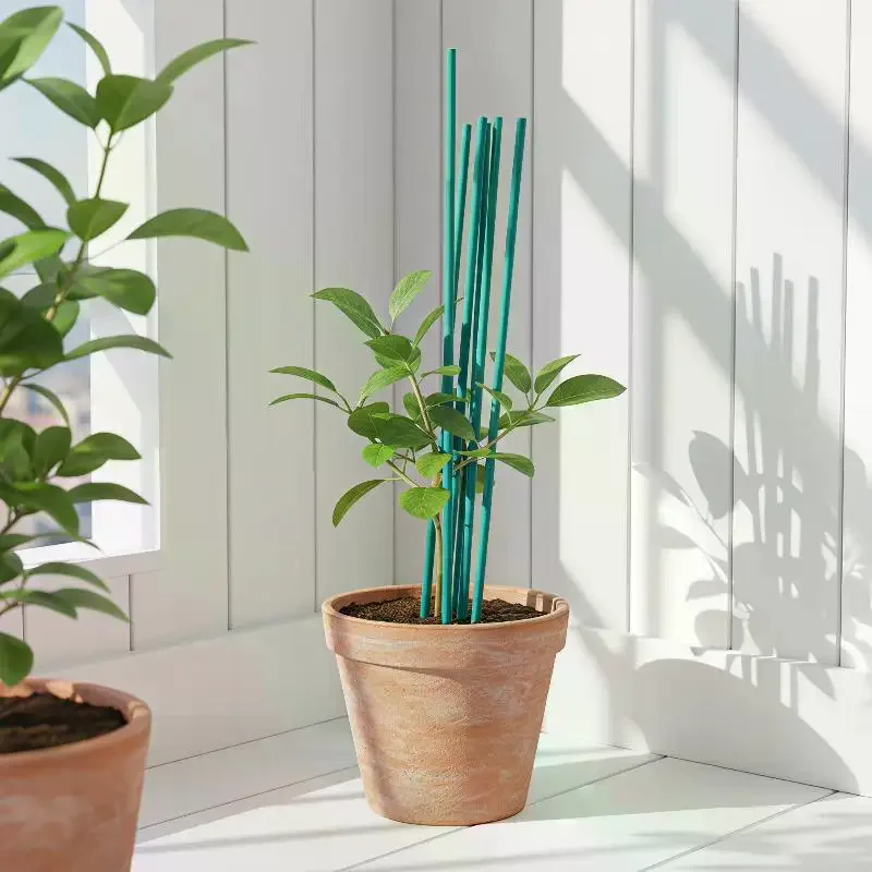 Supporti per Piante Verdi da 30/40/45/50cm per Coltivazione di Verdure e Fiori - immagine 3
