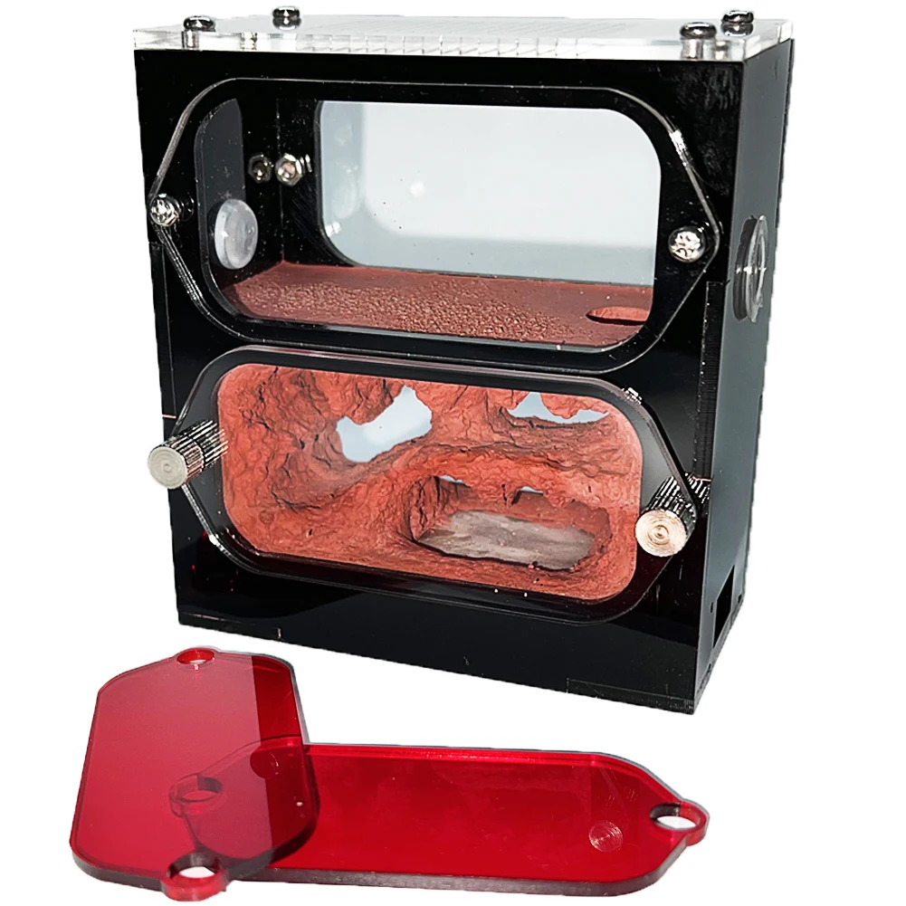 아크릴 개미농장 모이스처라이징 워터타워 포함, 콘크리트 개미집, 개미 둥지, 여왕 번식 곤충 하우스, 개미집, 작업장 액세서리  Best5