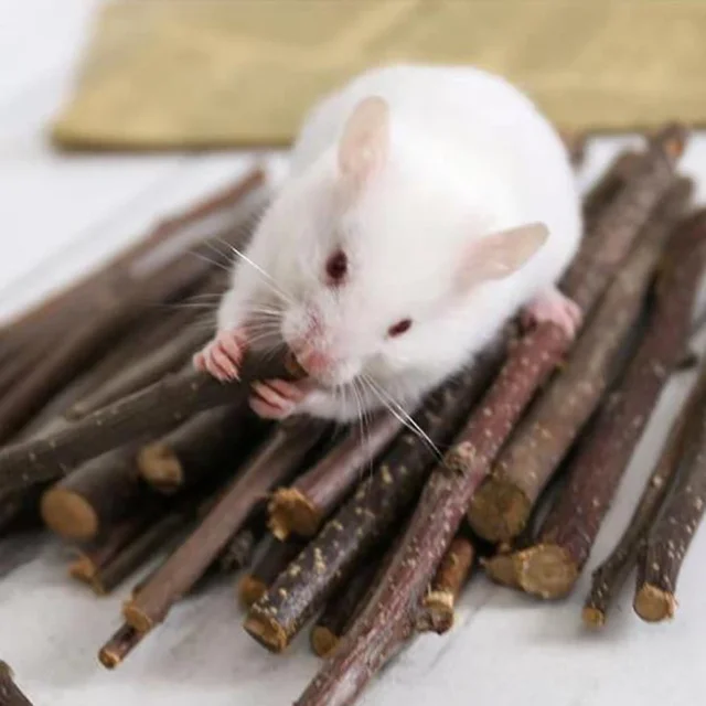 Professional Hamster Rabbit Teeth Grinding Apple Tree 5