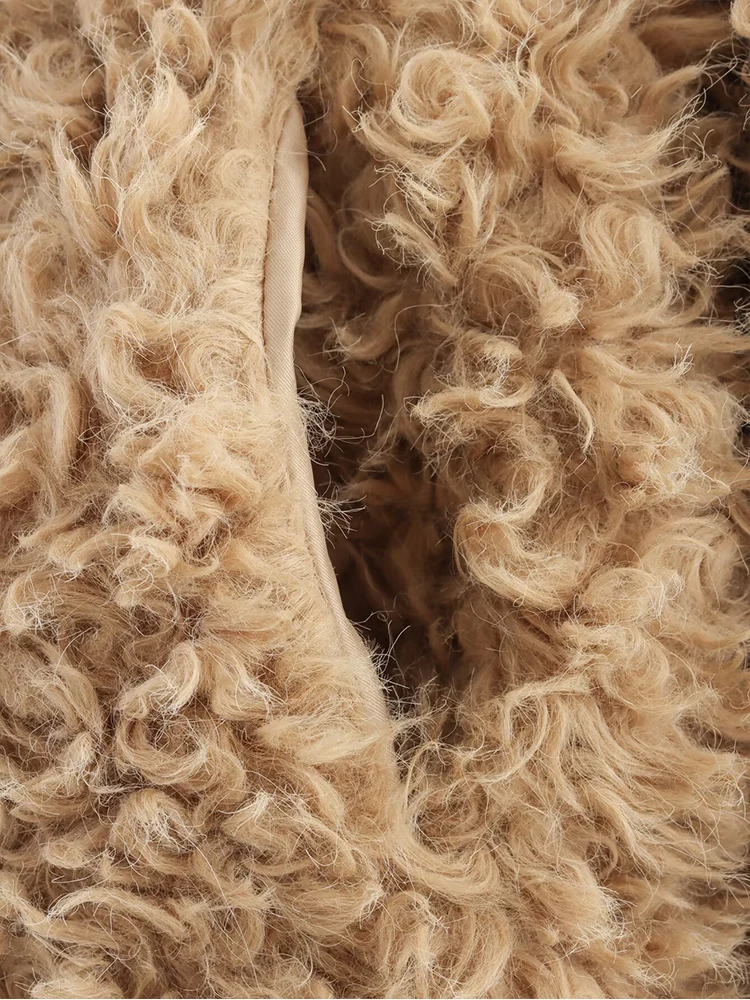 Winter Woman 2025 Faux Fur Coat Autumn Fur Plush Fluffy Jacket Loose Soft Solid Color Fur Short Outerwears Elegant Ladies New