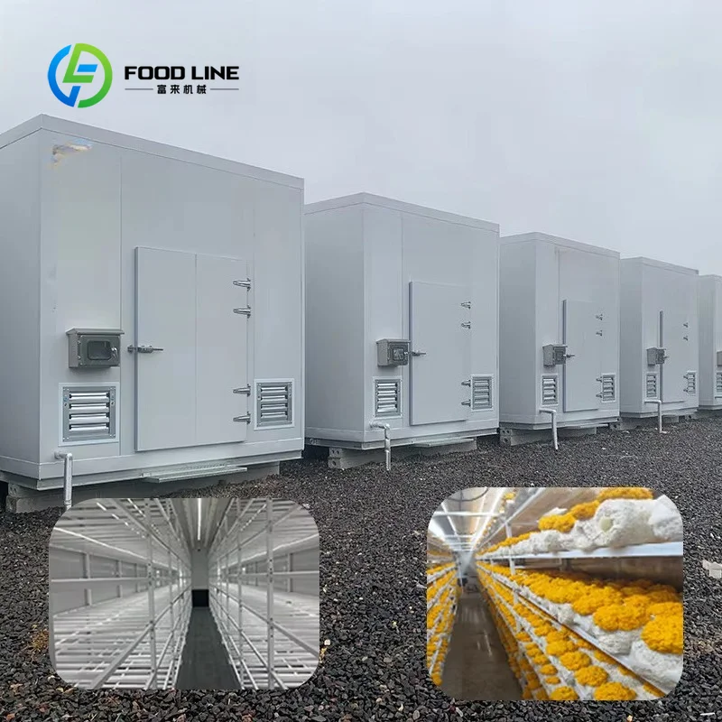 รูปสินค้า โรงเรือนไฮโดรโปนิกส์ 20 ฟุต ระบบอัตโนมัติ