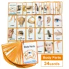 Kids Montessori Baby Learn English Word Card Flashcards Cognitive Educational Toys Picture Memorise Games Gifts for Children 6
