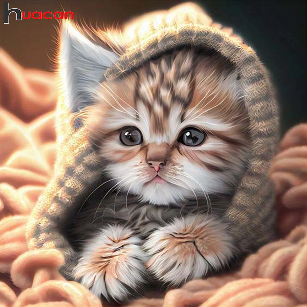 MomoArt Full Square Round Diamond Art Cat New 2023 Diamond Painting Animal  Rhinestones Picture Mosaic Kits 5D Handmade Hobby - AliExpress