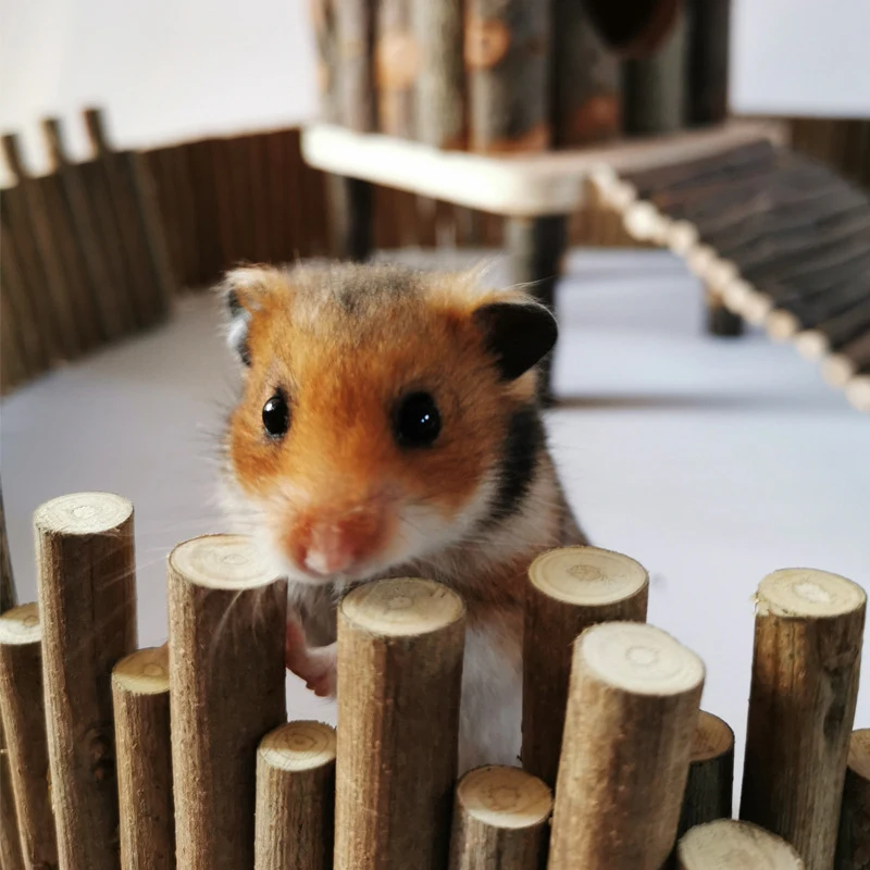 Hamster Wooden Fence Wood Ladder Bridge Toy Hideout Ladder Pet Tooth Cleaning Molar Toys Small Animals Pet Accessories small pet tunnel hamster cage tunnel hamster toy maze small pet molar sticks