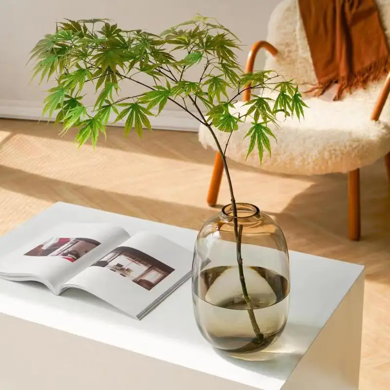 Japanese style potbelly glass vase ins Simple water culture modern decoration vase home decoration room decoration 2