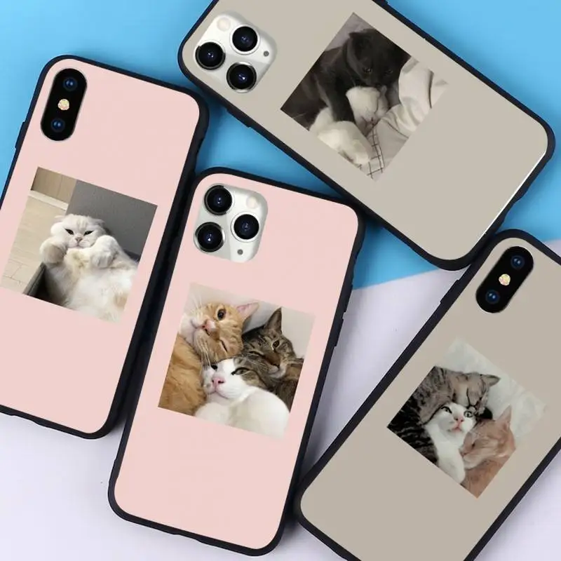 Розовый чехол для телефона с милым котом iphone 12 11 13 7 8 6 s plus x xs xr pro max mini |