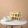 Brief Nordic Resin Hollow Fruit Tray Home Living Room Desktop Plate Snack Bowl Crafts For Shop House Cafe Festival Decoration 4