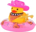 Cowboy Hat D