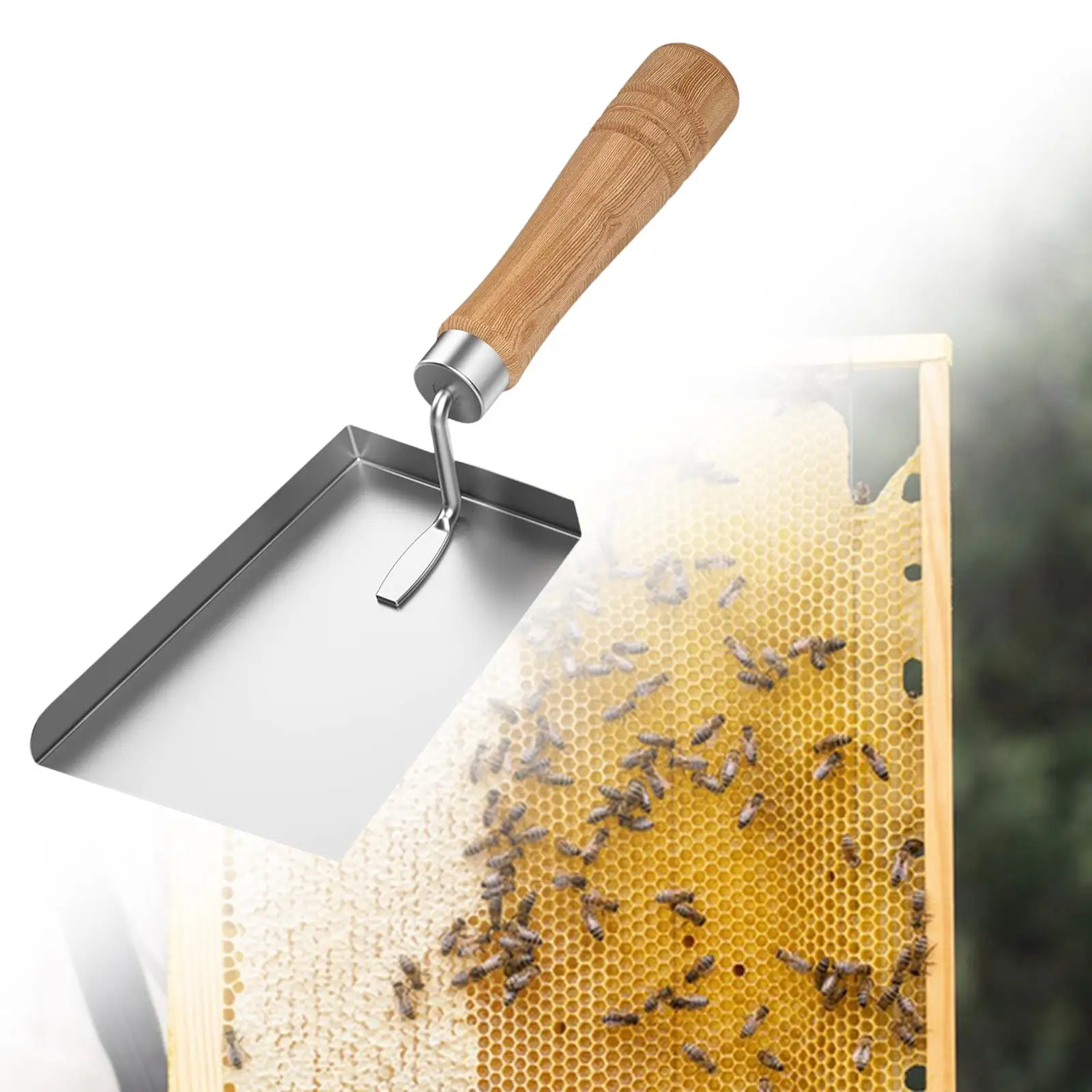Beehive Shovel Wax Scraper Beekeeping Tool Versatile Sturdy Rust Resistant Accessory 20x8cm Stainless Steel Beehive Extractor