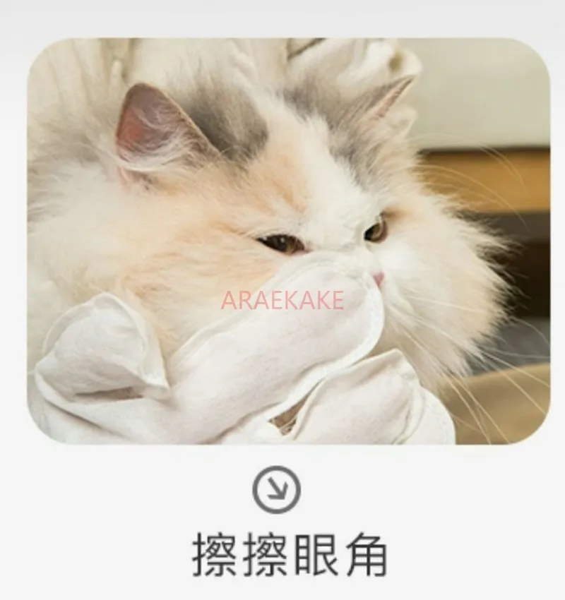 Pet wash free gloves, cat wet wipes, cleaning dogs, dry cleaning special for cats, disposable bathing