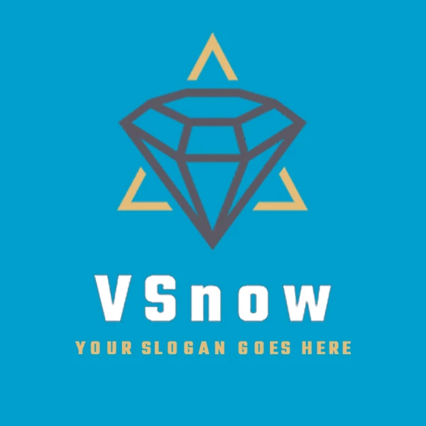 V-Snow Store