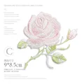 Light Pink Rose