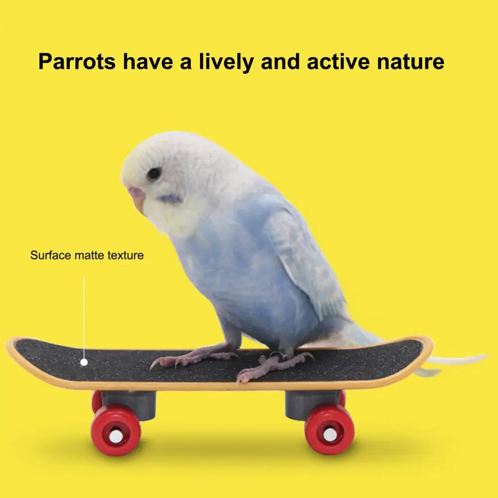 Parrot Training Tool Parrot Scooter Mini Skateboard Parrot Toy Set for Budgies Parakeets Flexible Wheel Bird Training for Growth