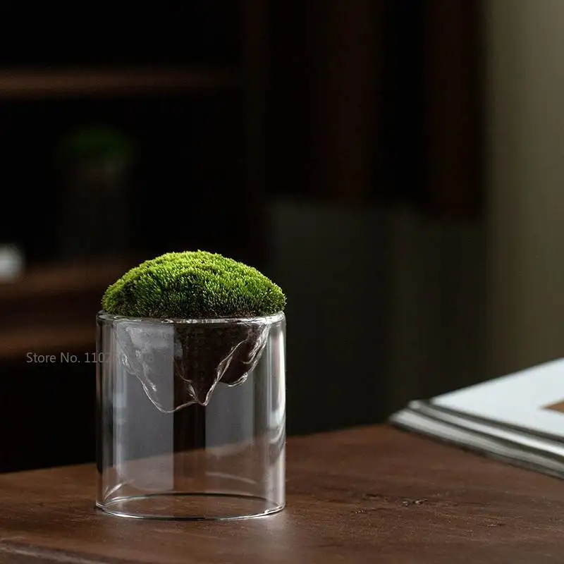 Hydroponic Vase Creative Mountain Shaped Moss Glass Bottle Vase