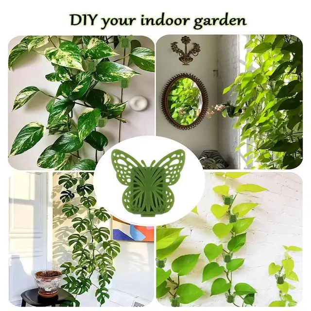 30 Dcs Ragasztó Növényi Mászó Fali Rögzítő Klipek Zöld Csomagoló Növények Támogató Paradicsomvirágok És Szőlők Egyenes Termesztési Szerszámklipek - Image 5