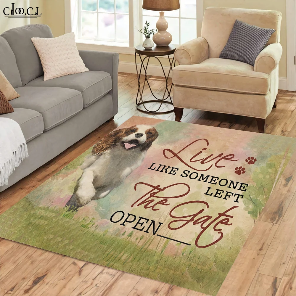 CLOOCL-3D ������ �ö��� ���� ī��, �Ž� ħ�� ��� ���� Ȩ ���ڷ��̼�