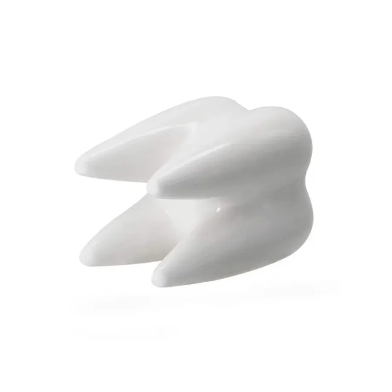 Creative Tooth Decorative Flower Pot Desktop Ceramic Flower Pot Living Room Green Plant Flower Pot Modern Home Decoration