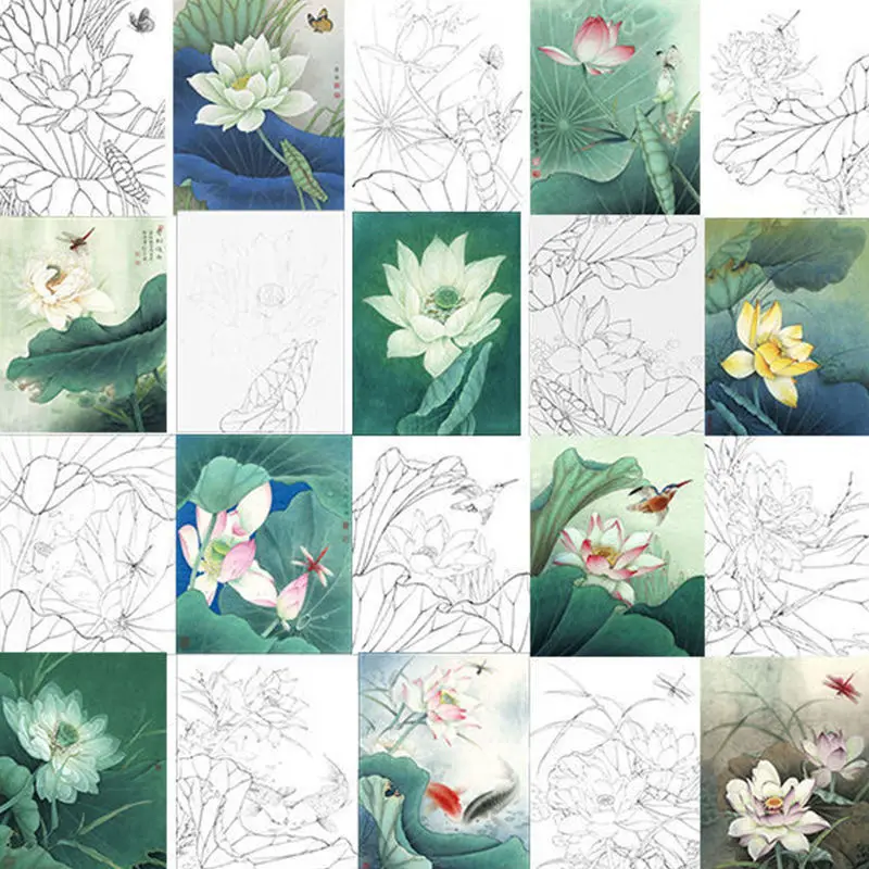 Multiple Types Meticulous Painting Paper Line Drawing Manuscript Lotus Leaves Carp Bird Beginner Copy Practice Ripe Xuan Paper