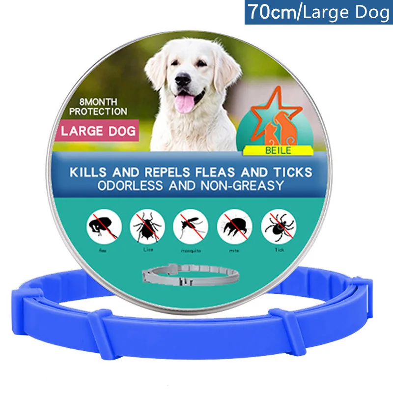 Large Dog-70cm Box B