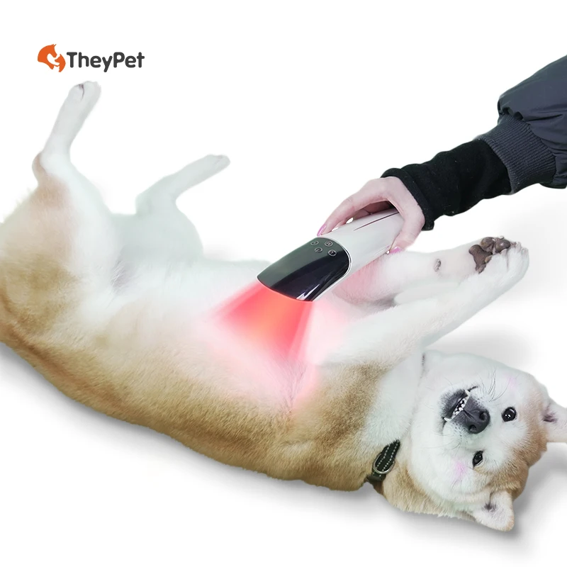 

Handheld LED Light Therapy Instrument Veterinary Disinfection Equipment for Pet Treatment and Animal Care horse therapy