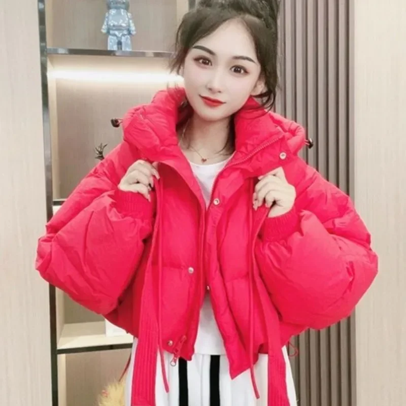 2024 New Women Down Jacket Winter Coat Female Short Parkas Given To Philandering Outwear Hooded Leisure Time Versatile Overcoat