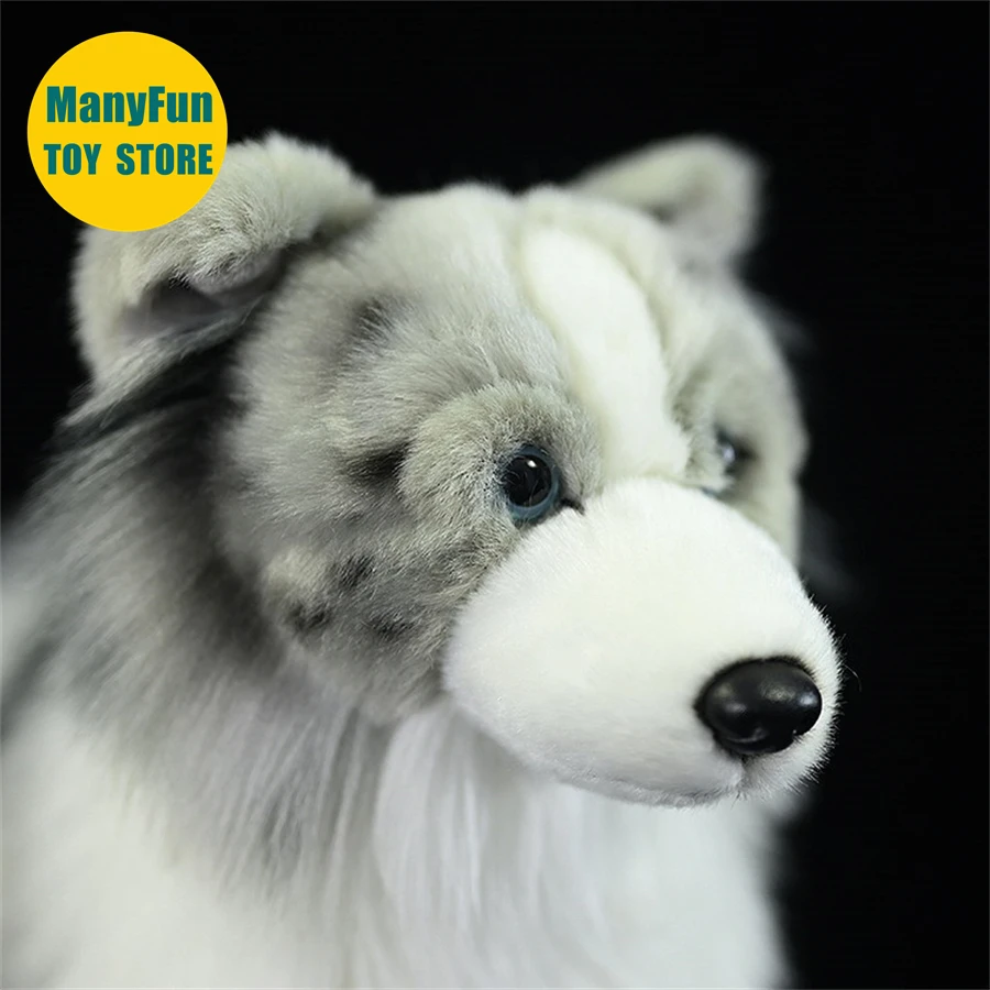 Sd1fb80fab0bc46b8a0c8764d735a853fZ - Border Collie Gifts