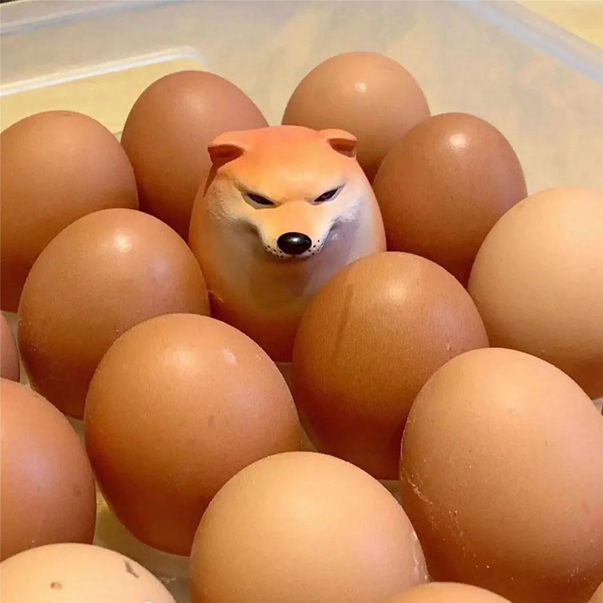 BAAU 20x Egg Dog Shiba Inu Realistic Egg Shape Desk Decor Dog & Union Decoration for Home Offices Fun Christmas Gifts